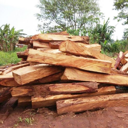 红木原木