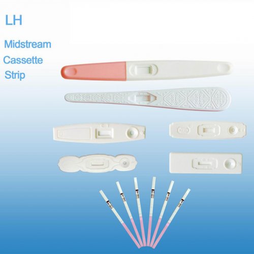 Ovulation (LH) Test 